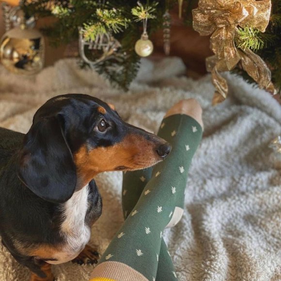 Brand new, 100% organic cotton, crew socks, tree design, unisex, size 7-13 - Picture 8 of 10